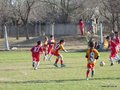 LVBF4FC2013 065