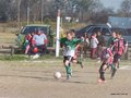 LVBF6FC2013 062