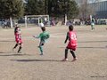 LVBF6FC2013 049