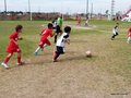 LVBF7FC2013 071