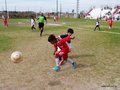 LVBF7FC2013 065