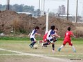 LVBF7FC2013 049
