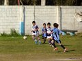 LVBF8FC2013 077