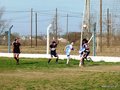 LVBF8FC2013 015