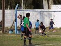 LVBF8FC2013 054