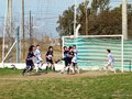 LVBF8FC2013 041