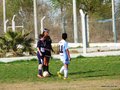 LVBF8FC2013 008