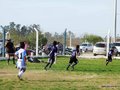 LVBF8FC2013 050