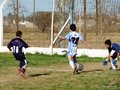 LVBF8FC2013 028