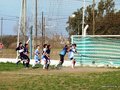 LVBF8FC2013 039