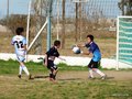 LVBF8FC2013 029
