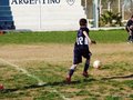 LVBF8FC2013 021