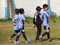 LVBF8FC2013 069