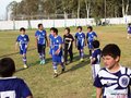 LVBF8FC2013 062