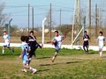 LVBF8FC2013 017