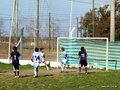 LVBF8FC2013 010