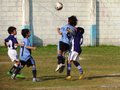 LVBF8FC2013 073