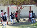 LVBF9FC2013 069