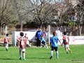LVBF9FC2013 092