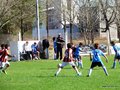 LVBF9FC2013 110