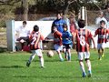 LVBF9FC2013 091
