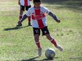 LVBF9FC2013 074