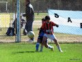 LVBF9FC2013 112