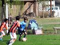 LVBF9FC2013 094