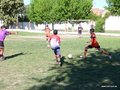 P1550808