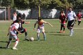 IMG_8956