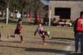 IMG_5434
