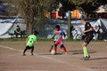 IMG_8333