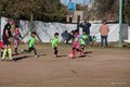IMG_8317