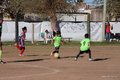 IMG_8337