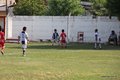 IMG_9010