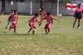IMG_8979