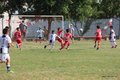 IMG_9006