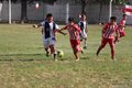 IMG_8981