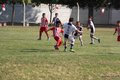 IMG_8977