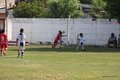 IMG_9011