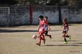IMG_1293