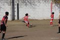 IMG_1274